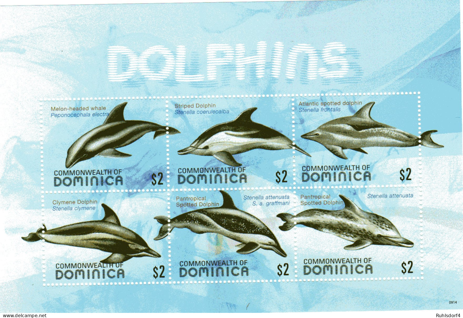 Dominica Kleinbogen Delphine - Baleines