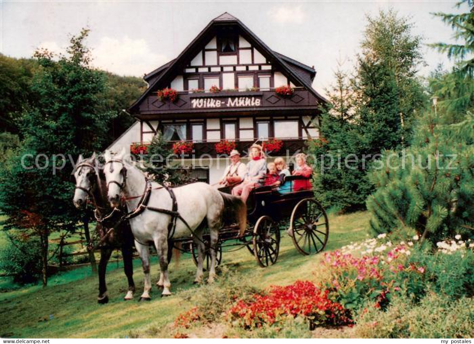 73787831 Usseln Haus Wilke Muehle Pferdekutsche Usseln - Sonstige & Ohne Zuordnung