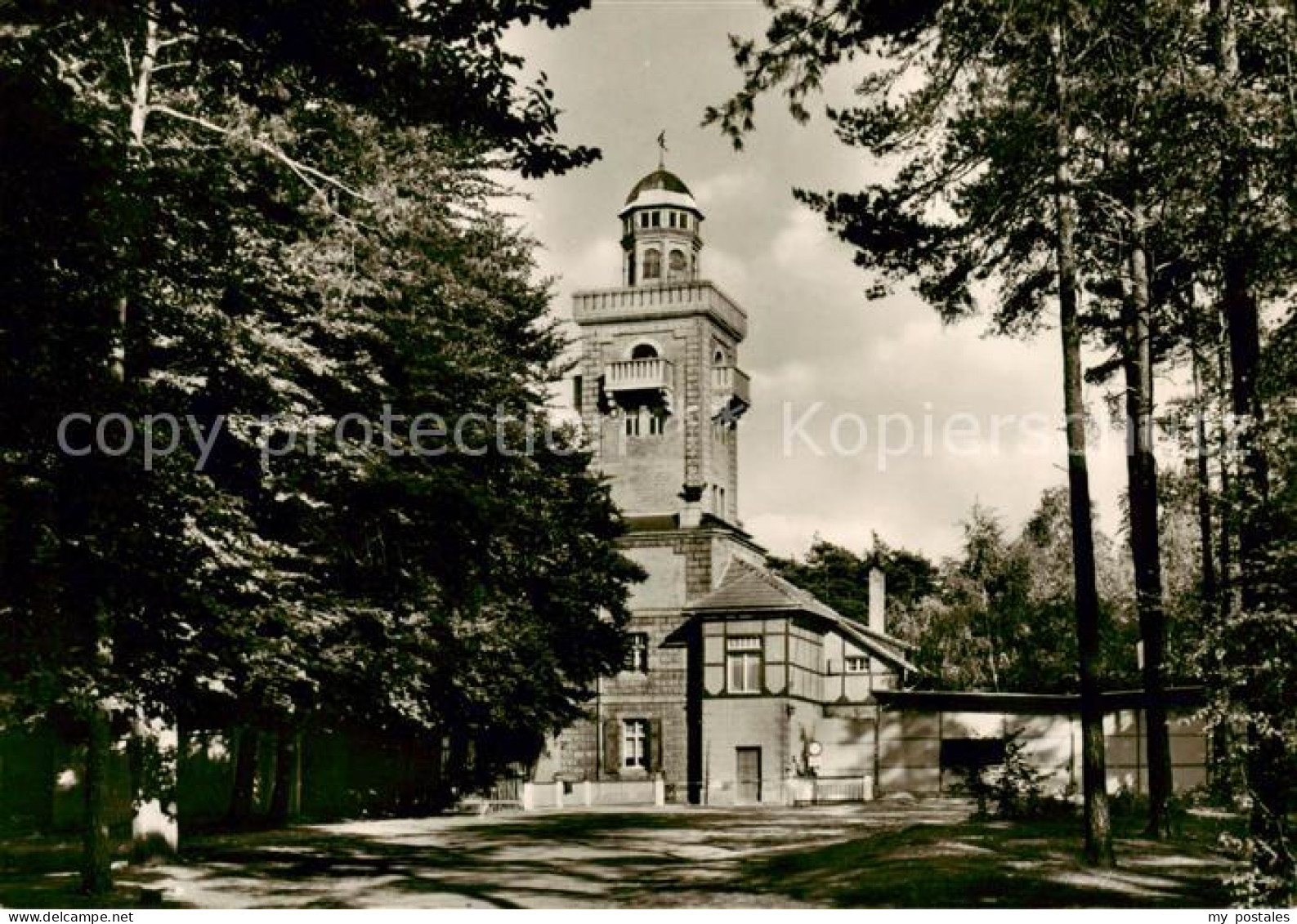 73787811 Bad Schmiedeberg Aussichtsturm Und Gaststaette Schoene Aussicht Bad Sch - Bad Schmiedeberg