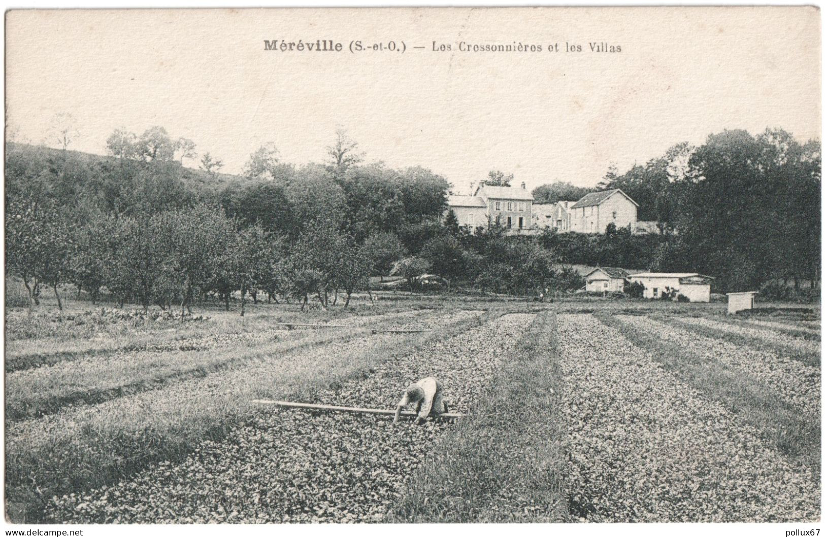 CPA DE MÉRÉVILLE  (ESSONNE)  LES CRESSONNIÈRES ET LES VILLAS - Mereville