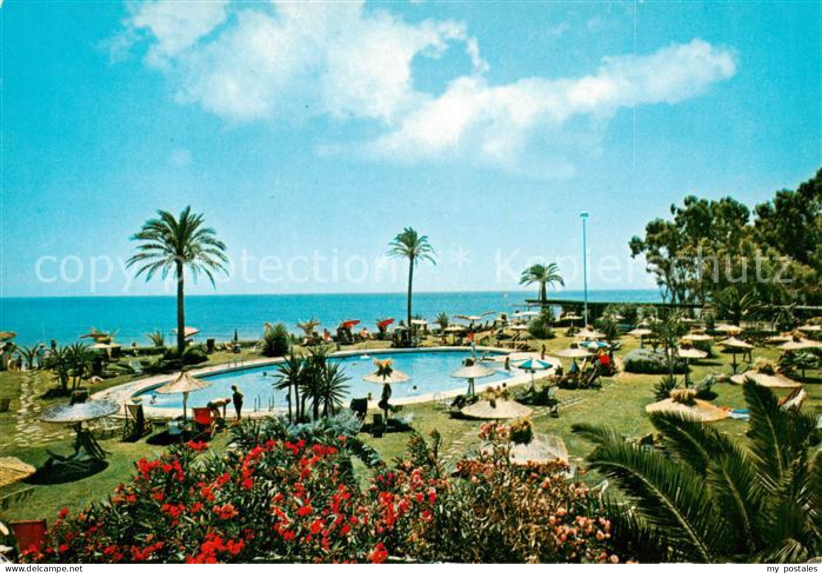 73787696 Torremolinos ES Jardines Y Piscina Gran Hotel Nautilus  - Sonstige & Ohne Zuordnung