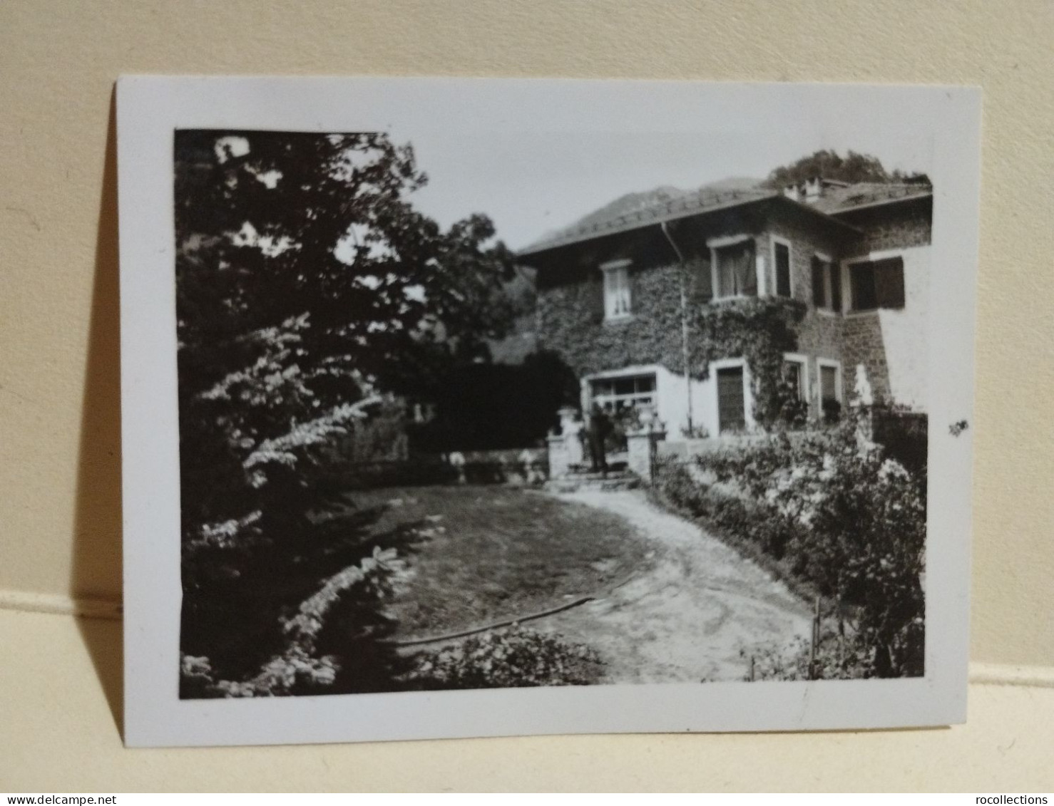 Italia Foto Piccola ORIOMOSSO (Campiglia Cervo) Villa Boggio 1948 - Europe