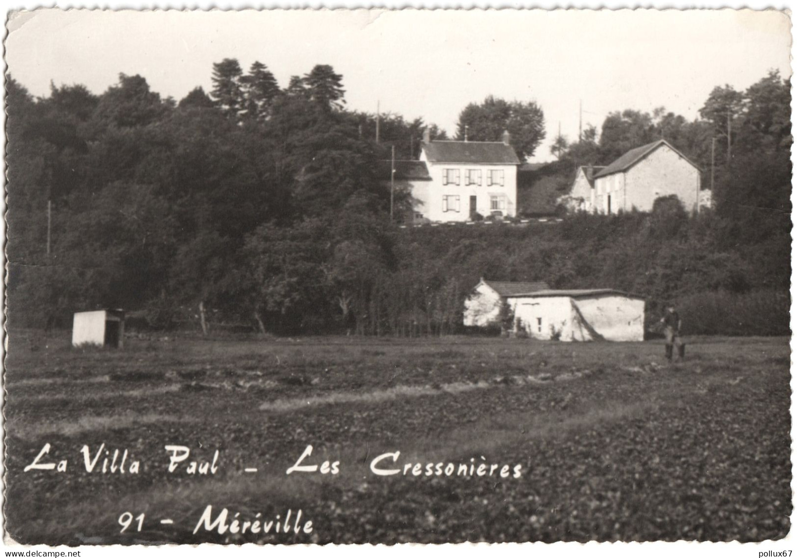 CPSM DE MÉRÉVILLE  (ESSONNE)  LA VILLA PAUL  -  LES CRESSONNIÈRES - Mereville