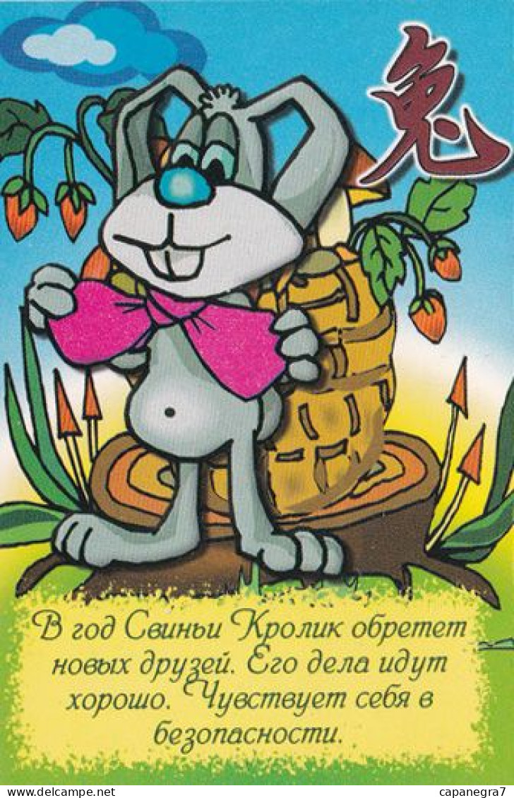 Rabbit, Mushrooma, Russia, 2007,  55 X 85 Mm - Small : 2001-...