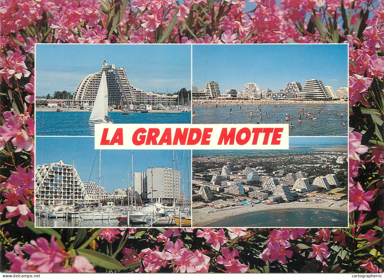 Navigation Sailing Vessels & Boats Themed Postcard La Grande Motte Hotels - Velieri