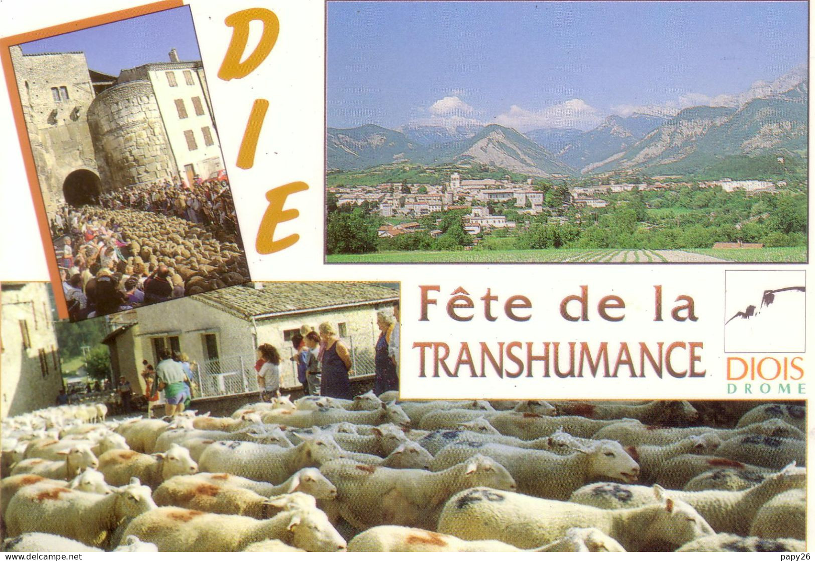 Cpm Cpsm Die  Fête De La Transhumance - Die