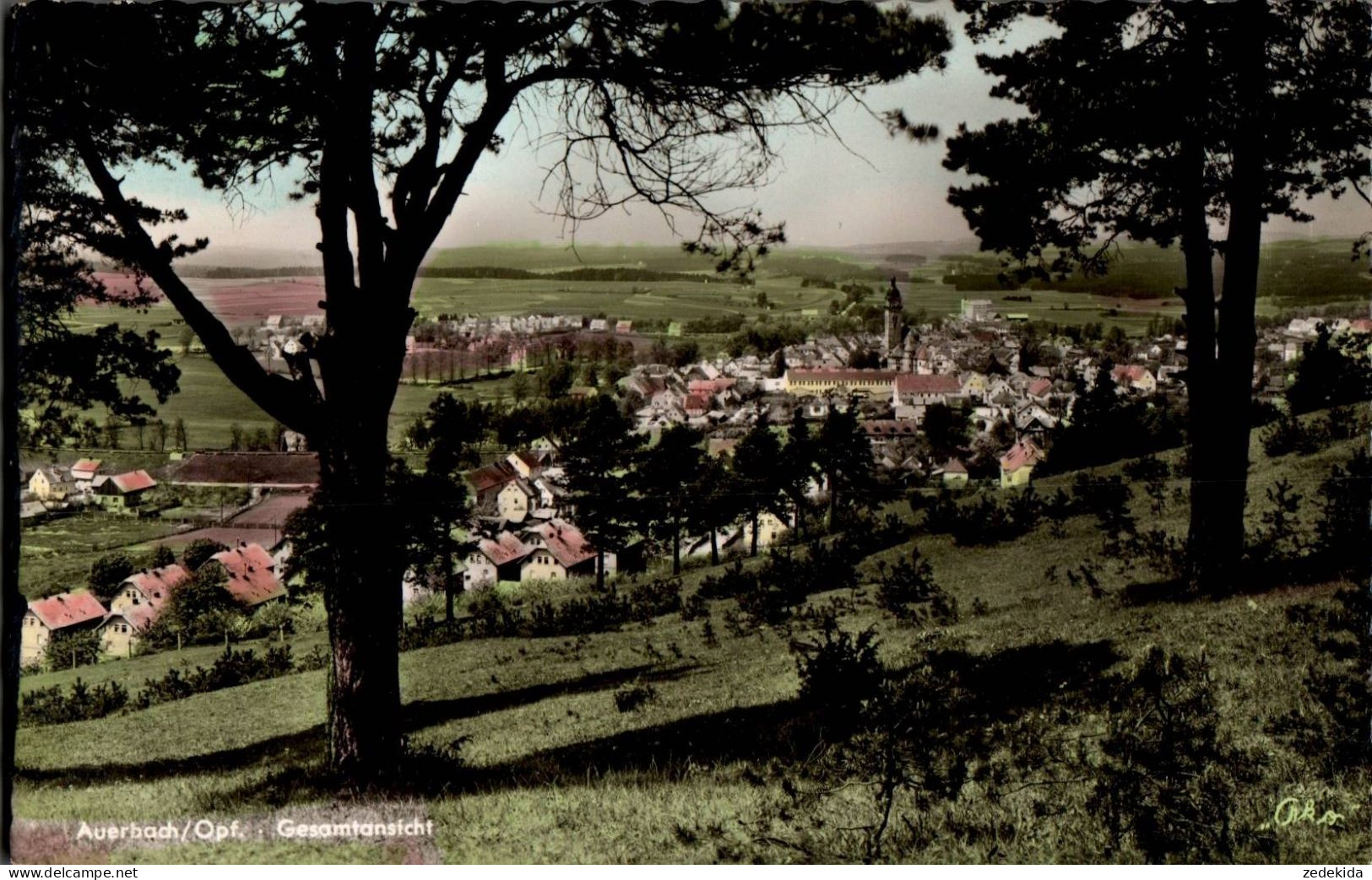 H1684 - Auerbach In Der Oberpfalz - Hans Rau - AKO Auf ADOX - Auerbach