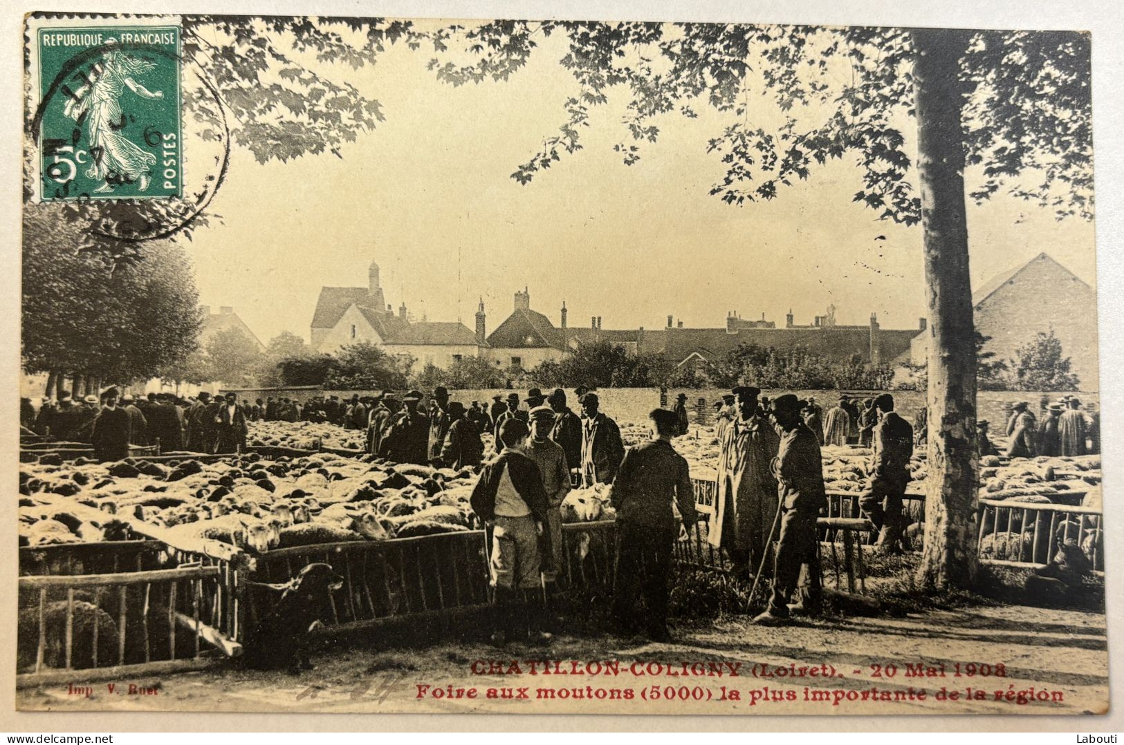 Carte Postale Loiret Chatillon Coligny 1908 Voyagé Foire Aux Moutons 5000 La Plus Bimportante De La Région - Chatillon Coligny