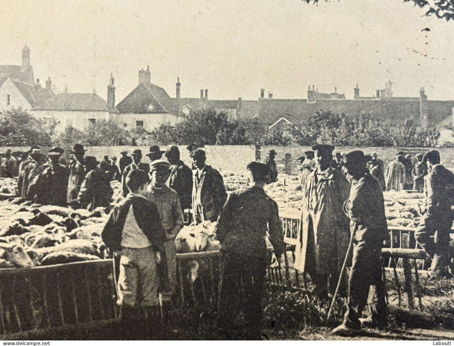 Carte Postale Loiret Chatillon Coligny 1908 Voyagé Foire Aux Moutons 5000 La Plus Bimportante De La Région - Chatillon Coligny