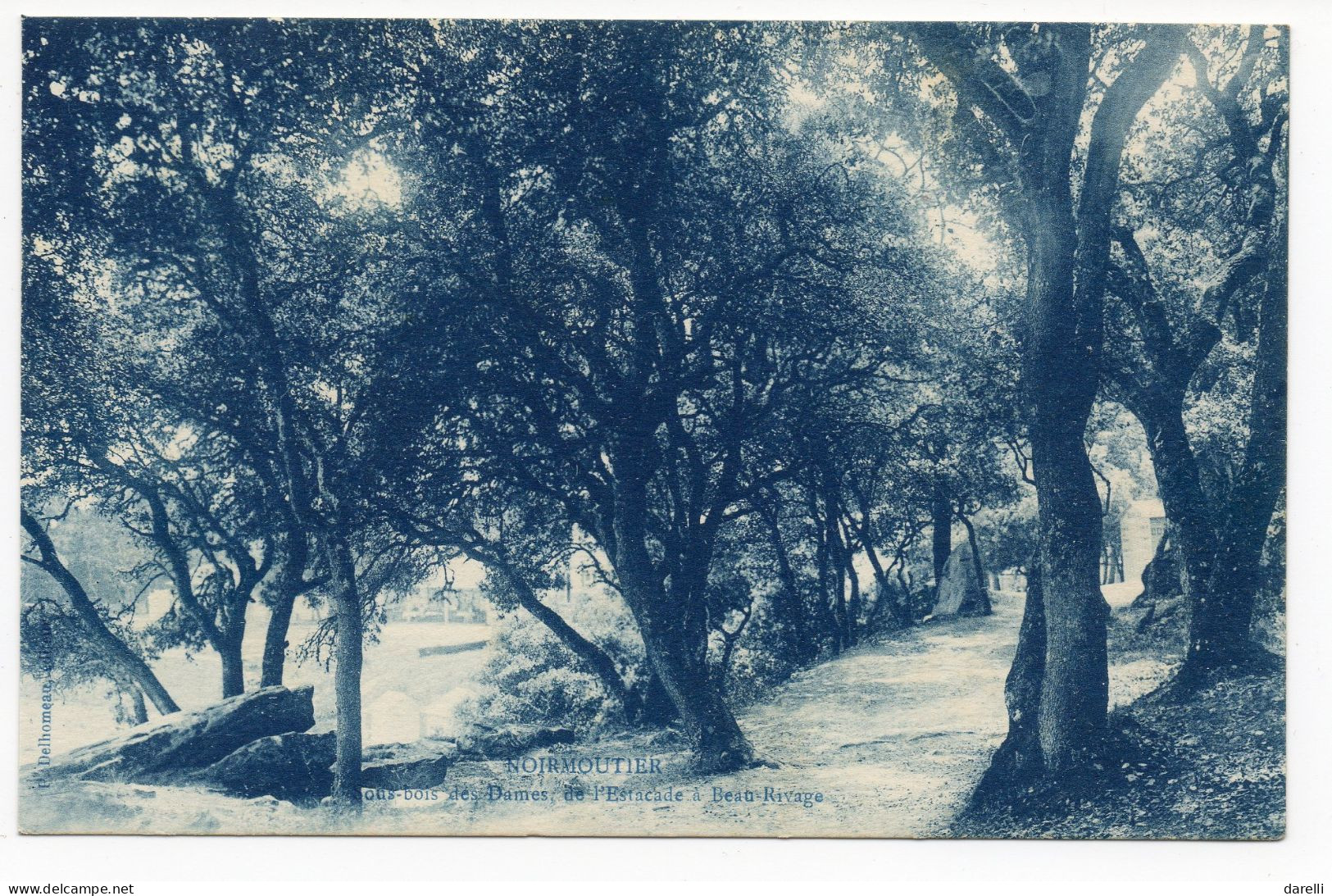 CP 85 - Sous-bois Des Dames De L'Estacade à Beau Rivage - Noirmoutier