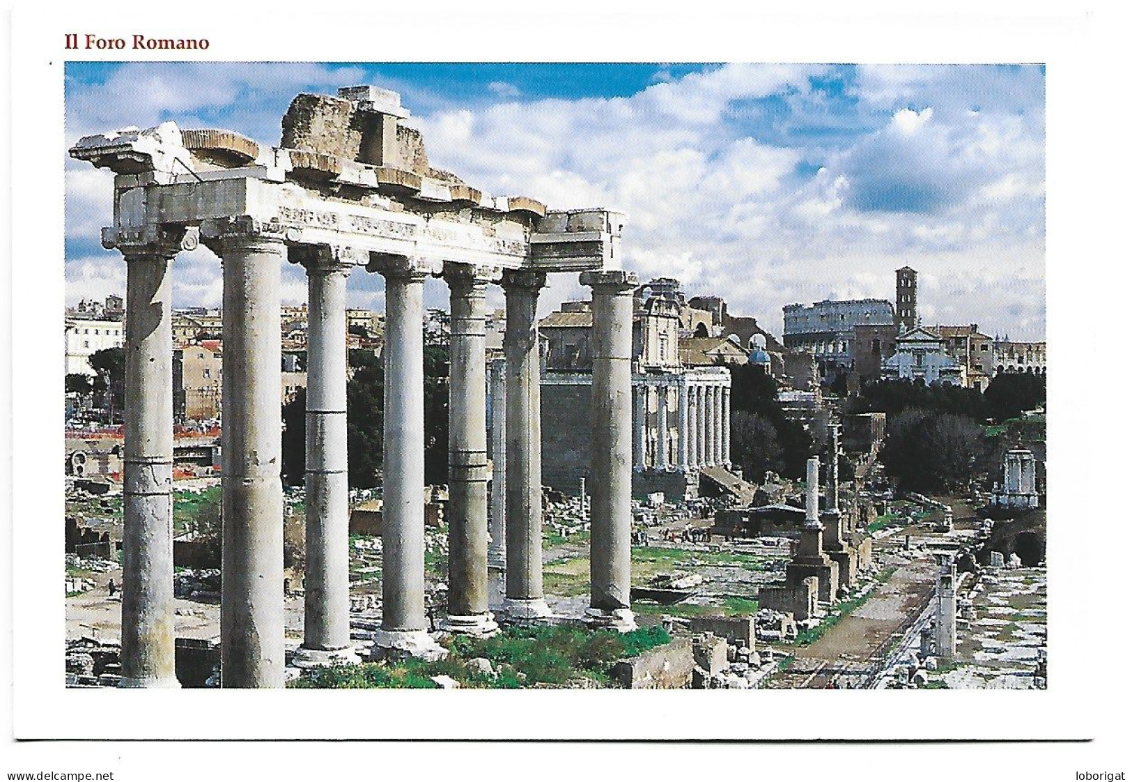 IL FORO ROMANO / THE ROMAIN FORUM.-  ROMA.- ( ITALIA ) - Other Monuments & Buildings