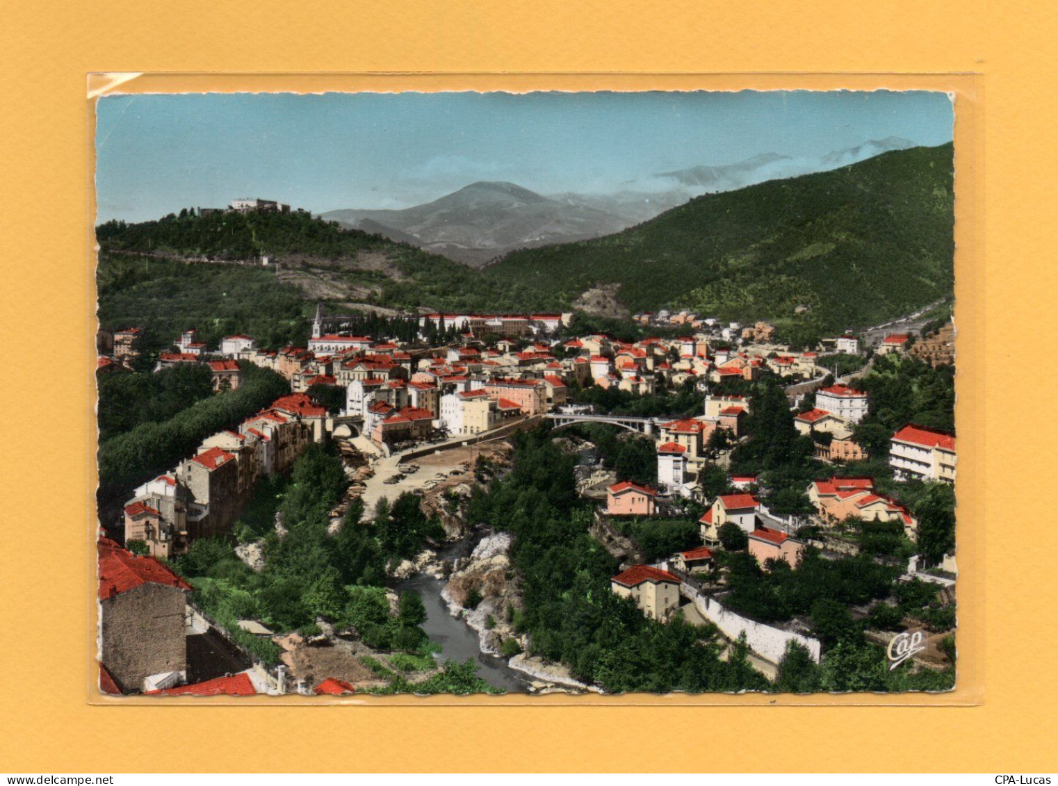 (27/04/24) 66-CPSM AMELIE LES BAINS - Amélie-les-Bains-Palalda