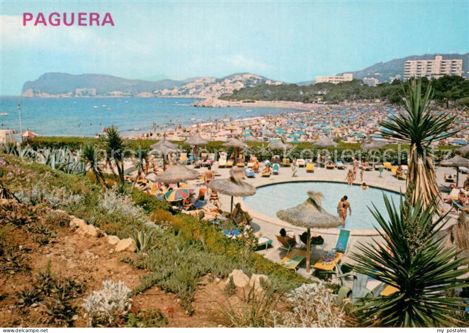 73786656 Paguera Mallorca Islas Baleares ES Panorama Pool  - Sonstige & Ohne Zuordnung