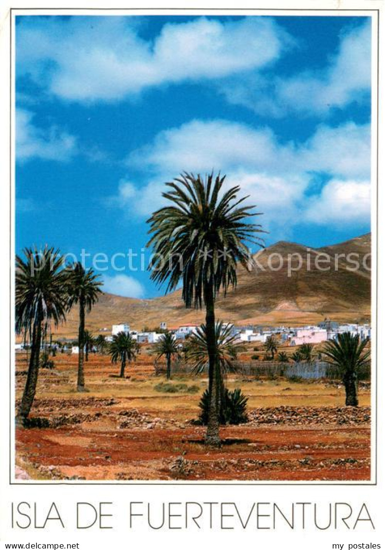 73786492 Fuerteventura Panorama  - Sonstige & Ohne Zuordnung