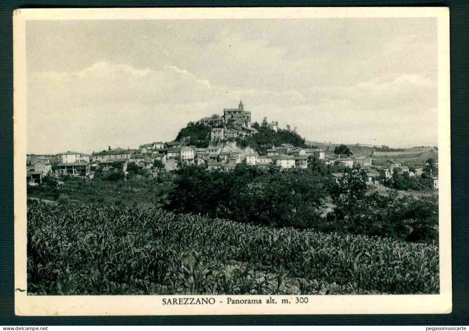 BF072 SAREZZANO - PANORAMA - ALESSANDRIA - 1955 - Other & Unclassified