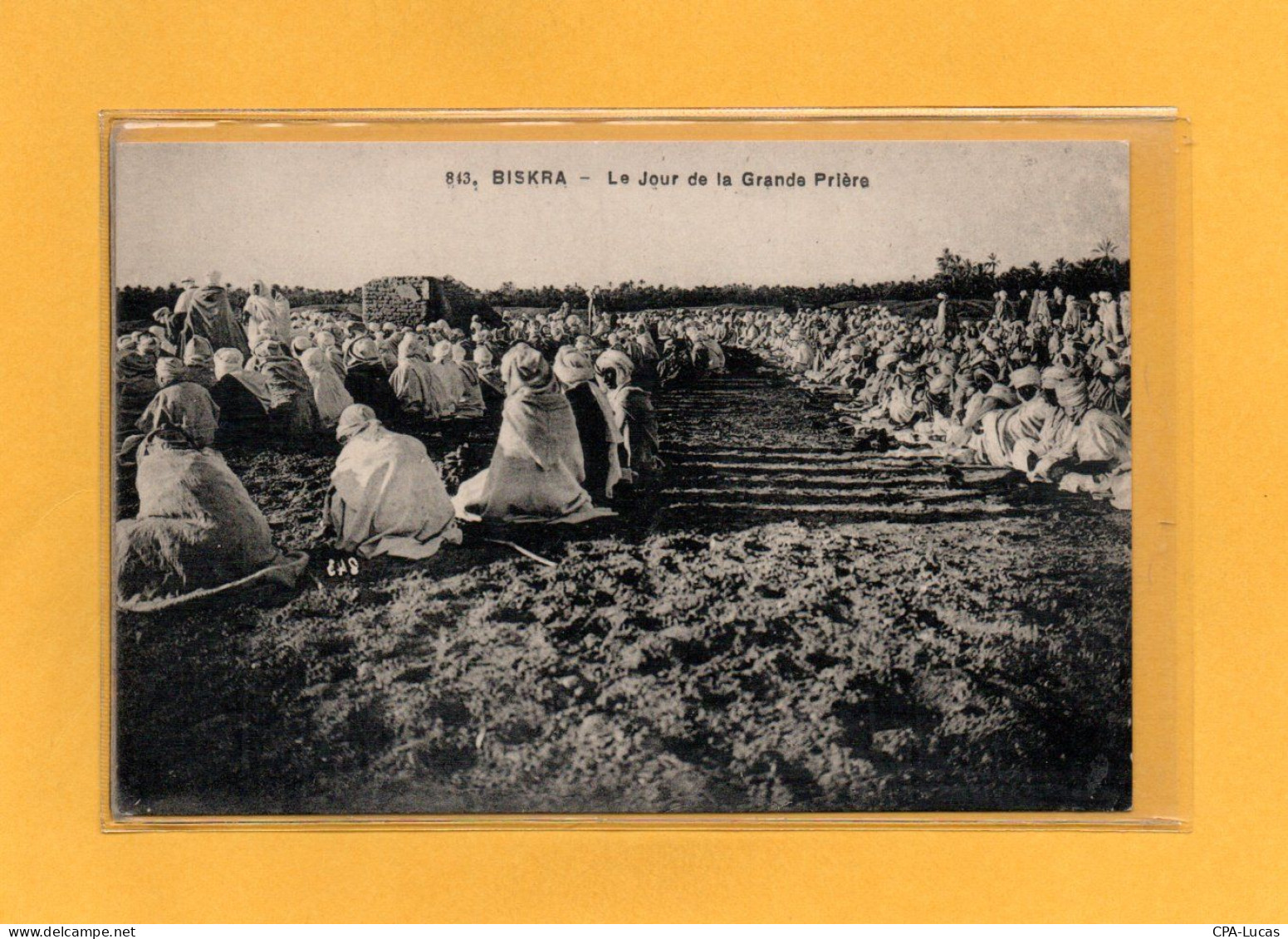 (27/04/24) ALGERIE-CPA BISKRA - Biskra