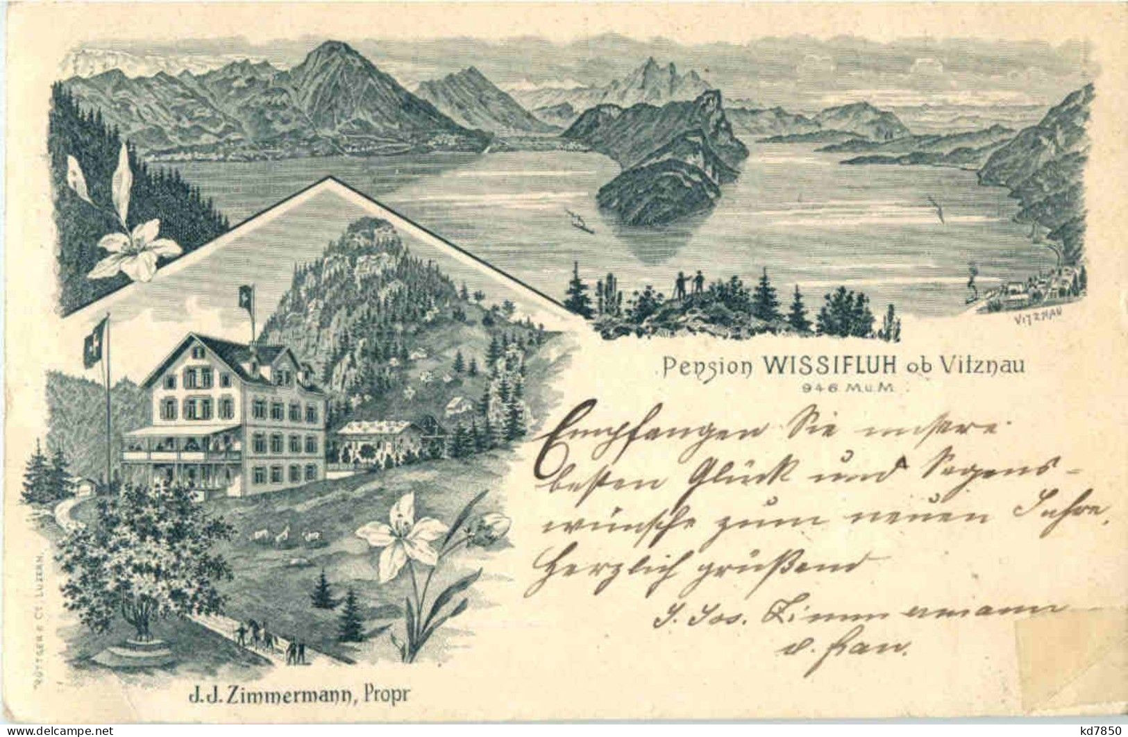 Vitznau - Pension Wissifluh - Vitznau