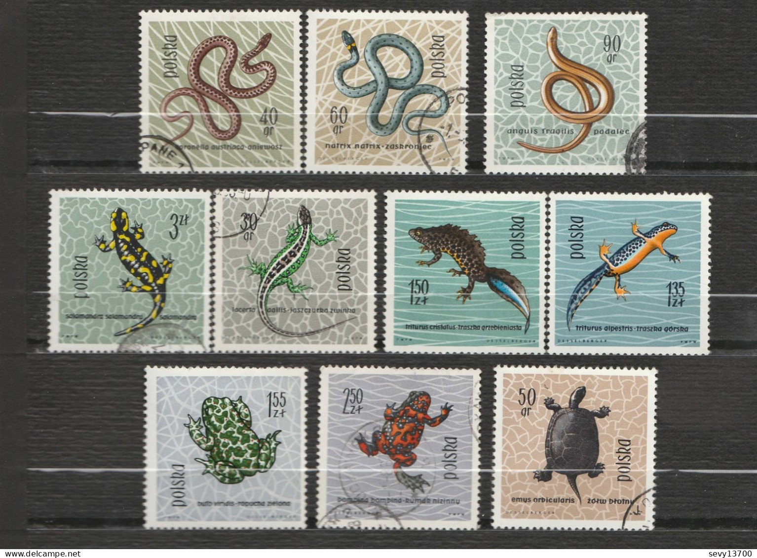 Pologne - 58 Timbres Animaux - Poissons Insectes Chevaux Oiseaux Chiens Chats Oiseaux Serpents Grenouilles Tortue Singe - Sammlungen