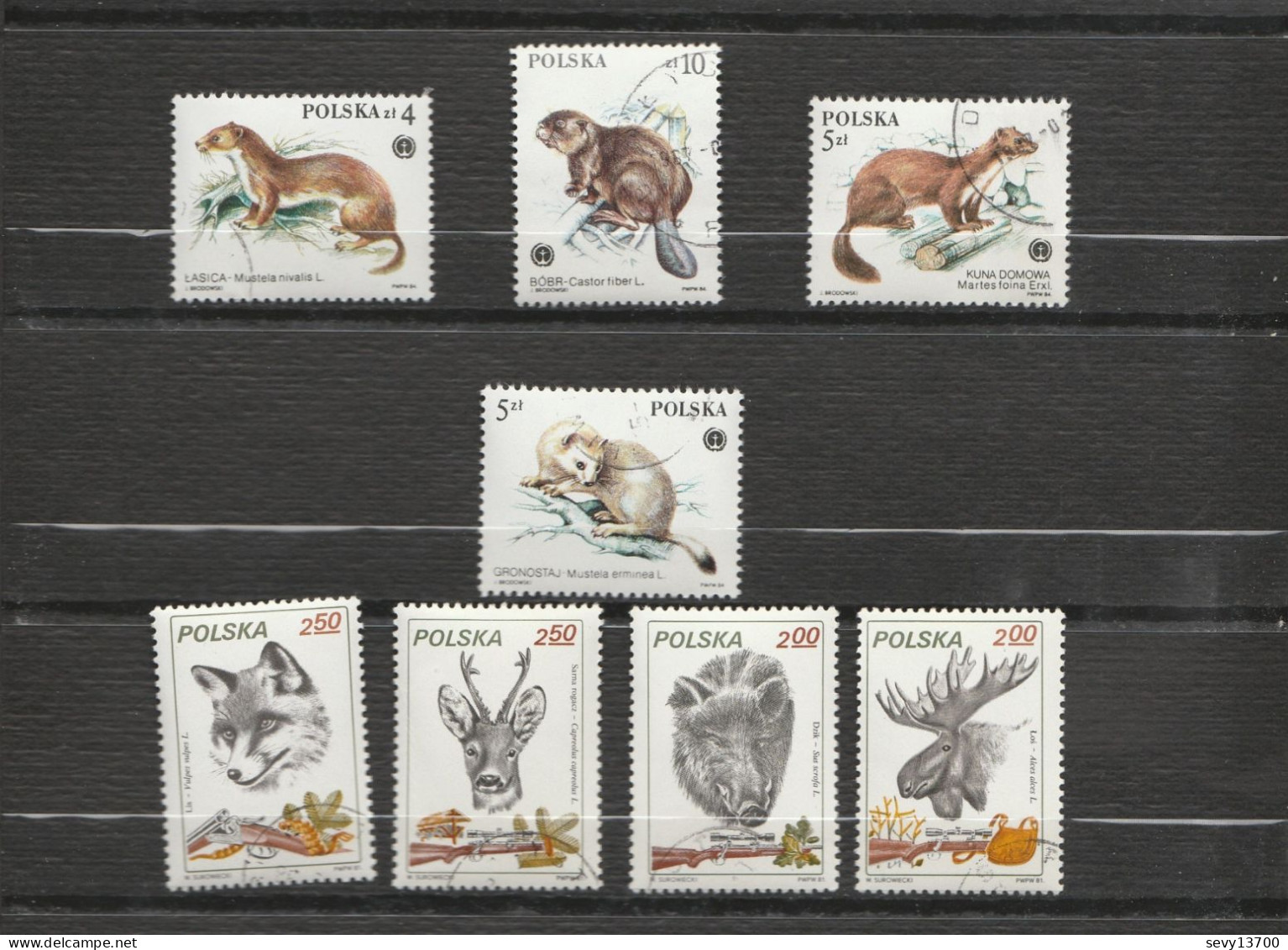 Pologne - 58 Timbres Animaux - Poissons Insectes Chevaux Oiseaux Chiens Chats Oiseaux Serpents Grenouilles Tortue Singe - Collections