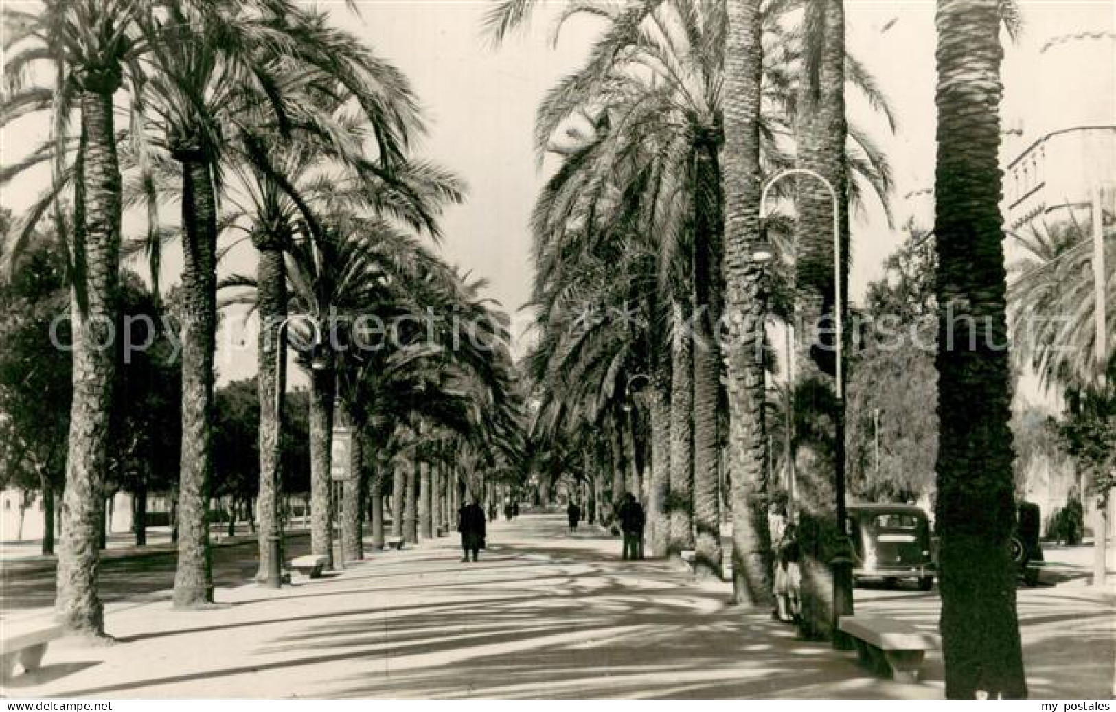 73786225 Palma De Mallorca Paseo De Sagrera Palma De Mallorca - Sonstige & Ohne Zuordnung