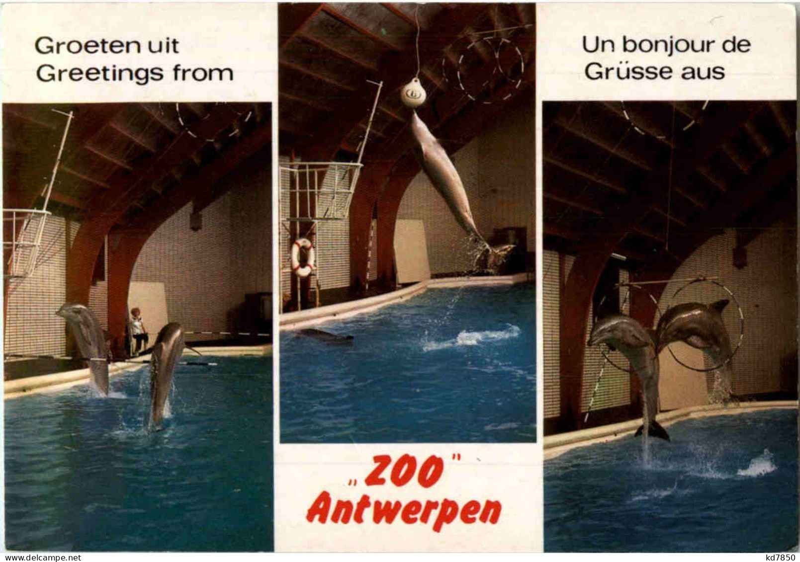 Antwerpen - Zoo - Antwerpen