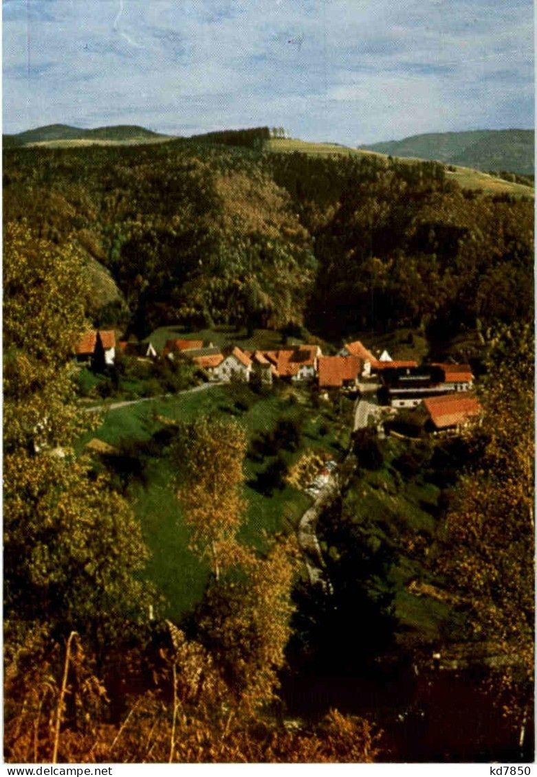 Zell Pfaffenberg - Loerrach