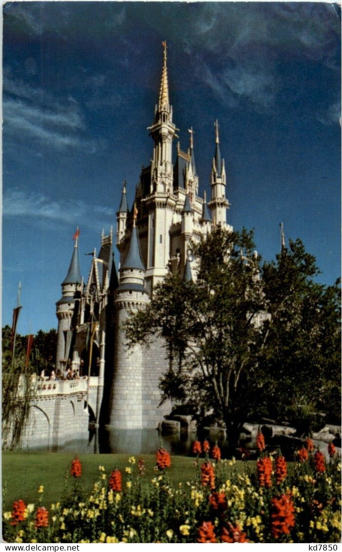 Disneyworld - Other & Unclassified