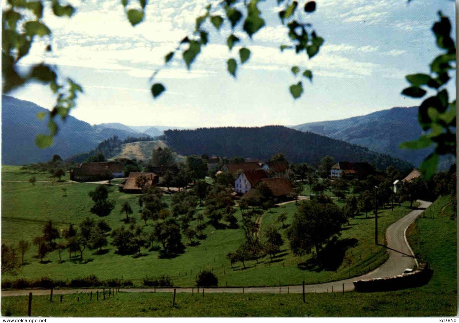 Tegernau - Sonstige & Ohne Zuordnung