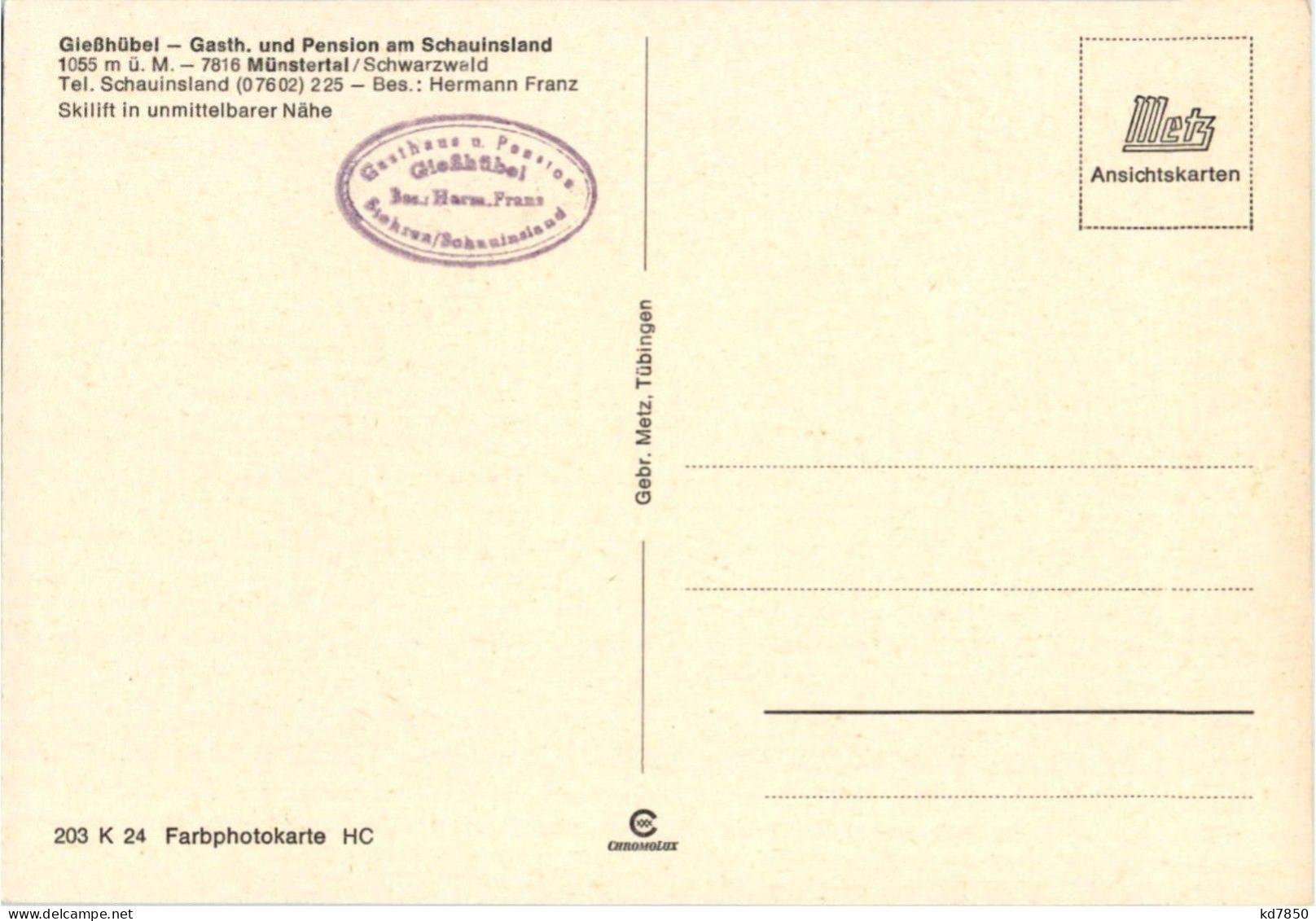 Münstertal - Giesshübel - Sonstige & Ohne Zuordnung