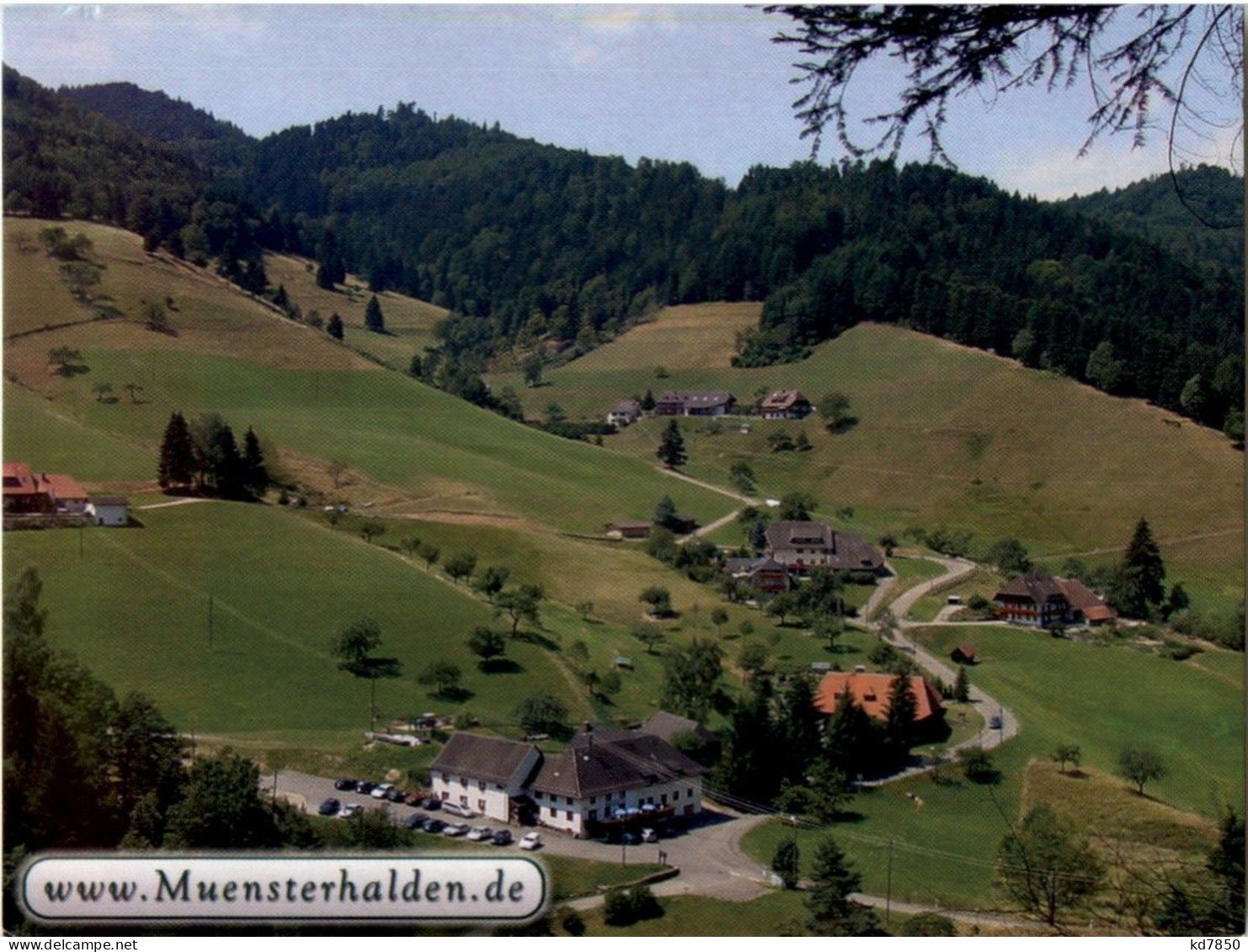 Münsterhalden - Sonstige & Ohne Zuordnung