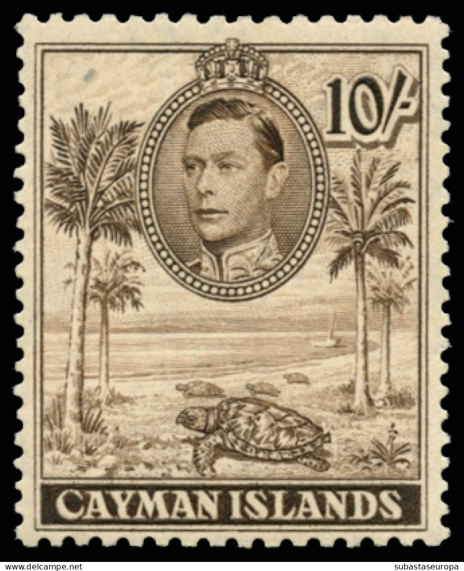 ISLAS CAIMÁN. * 104/15. Bonita. Cat. 90 €. - Cayman Islands
