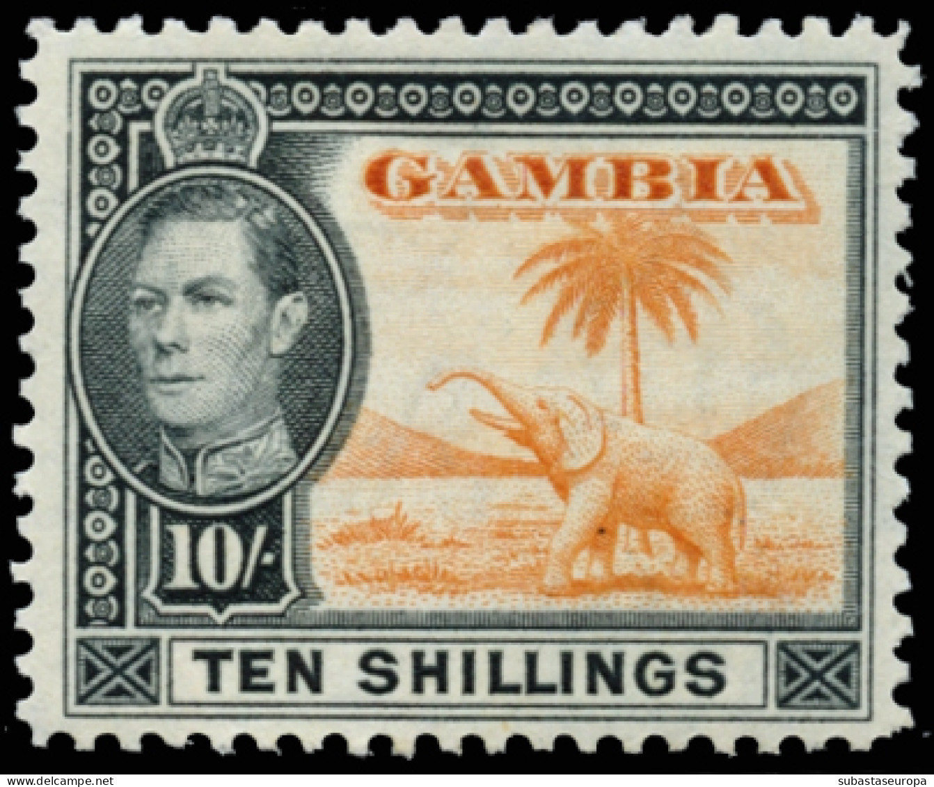 GAMBIA. * 122/36. Bonita. Cat. 100 €. - Gambia (...-1964)