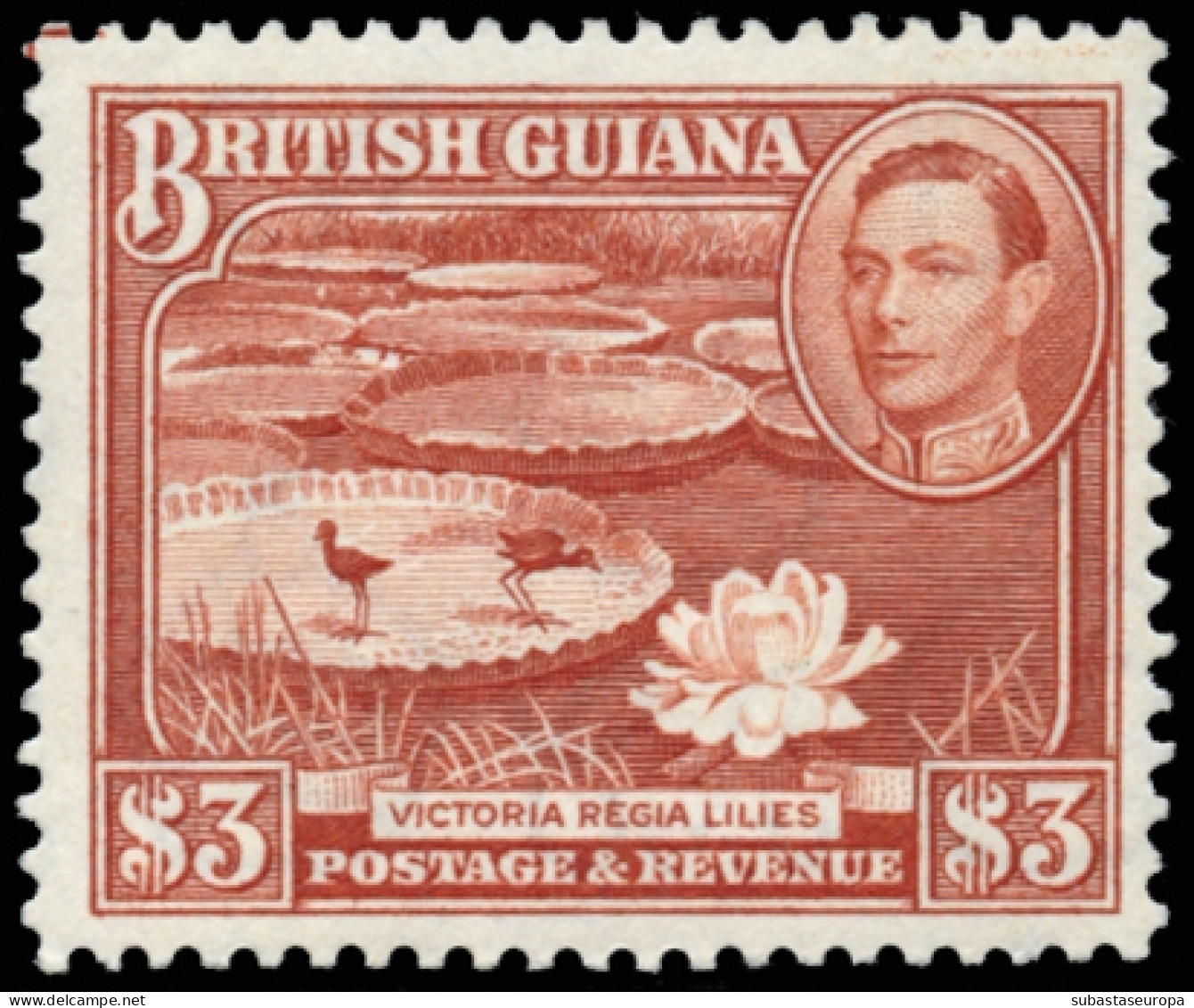 GUYANA. * 162/73. Bonita. Cat. 70 €. - Guyana Britannica (...-1966)