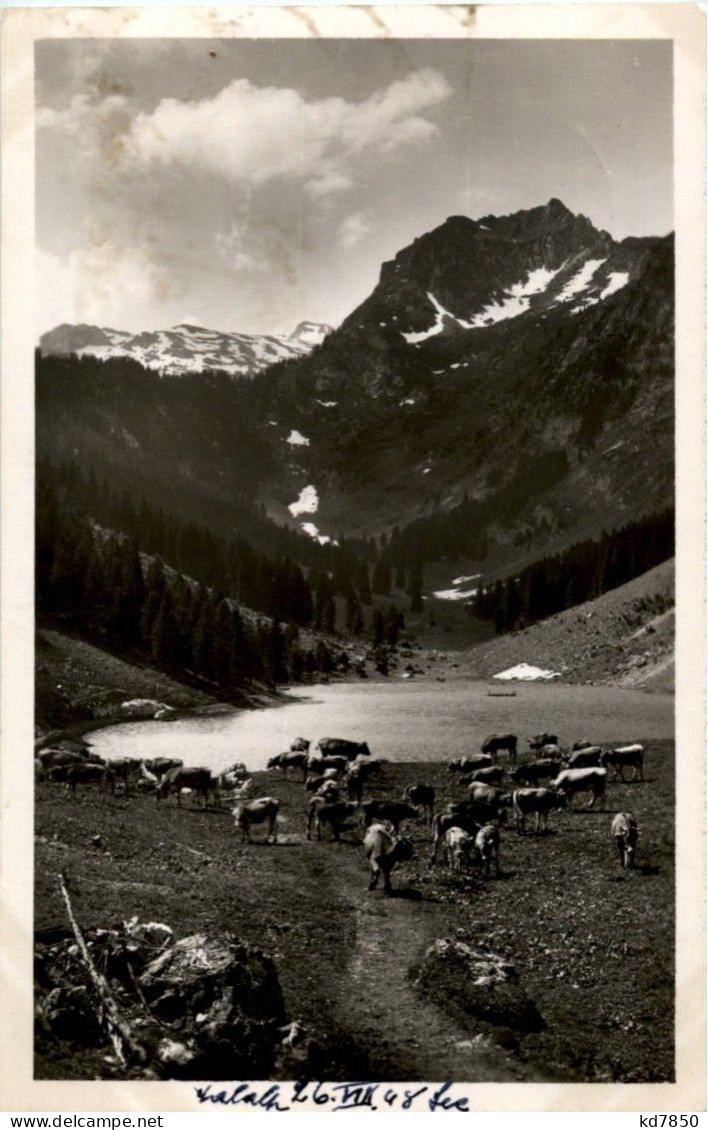 Talalpsee - Sonstige & Ohne Zuordnung