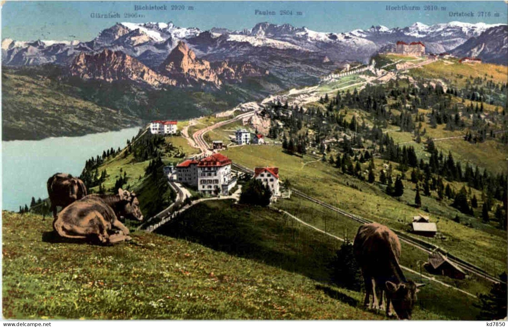 Rigi - Staffel Und Kulm - Andere & Zonder Classificatie