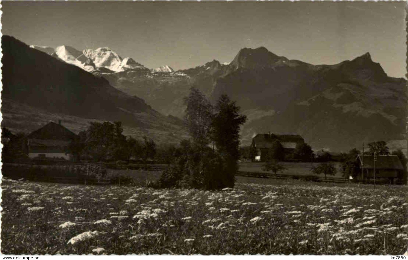 Aeschi - Blümlisalp - Aeschi Bei Spiez