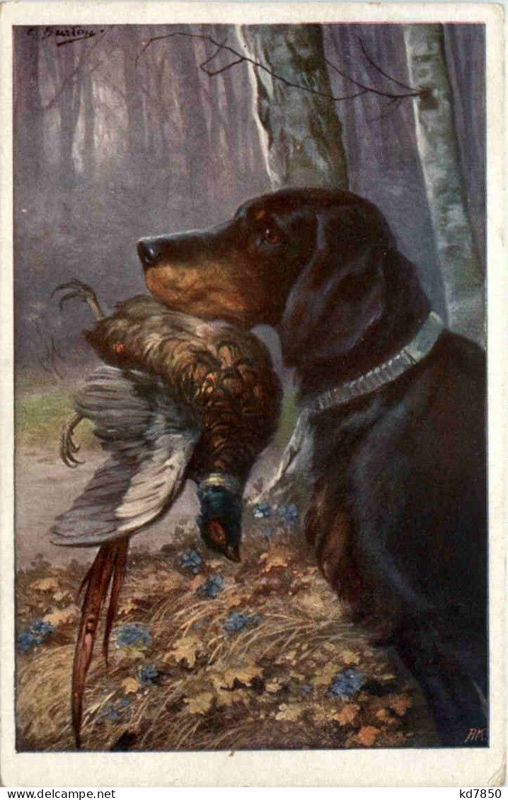 Jagd - Hund - Hunting