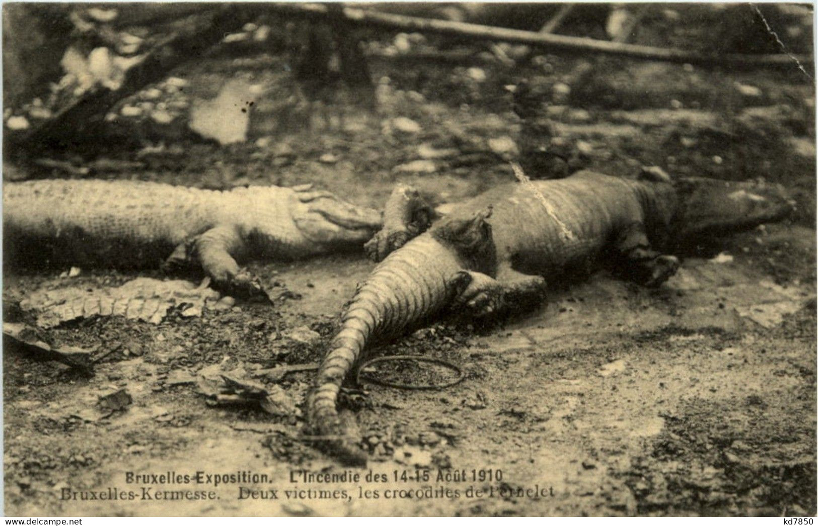 Gornichem - Miniatur ZweefcarousselBruxelles - L Incide 1910 - Crocodile - Andere & Zonder Classificatie