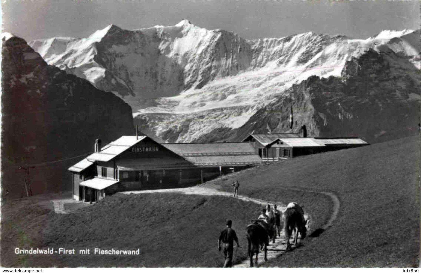 Grindelwald First - Grindelwald