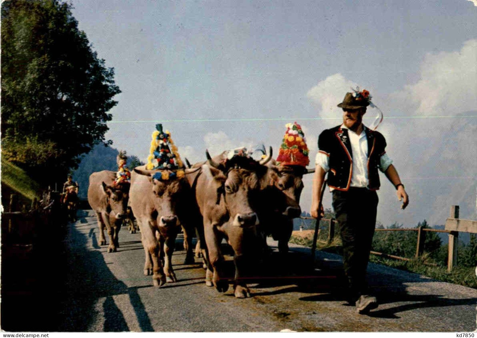 Alpabfahrt Im St. Galler Oberland - Autres & Non Classés