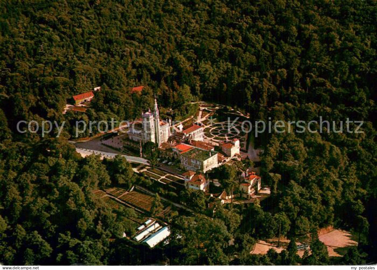 73785885 Bussaco Portugal Vista Parcial Da Floresta  - Autres & Non Classés