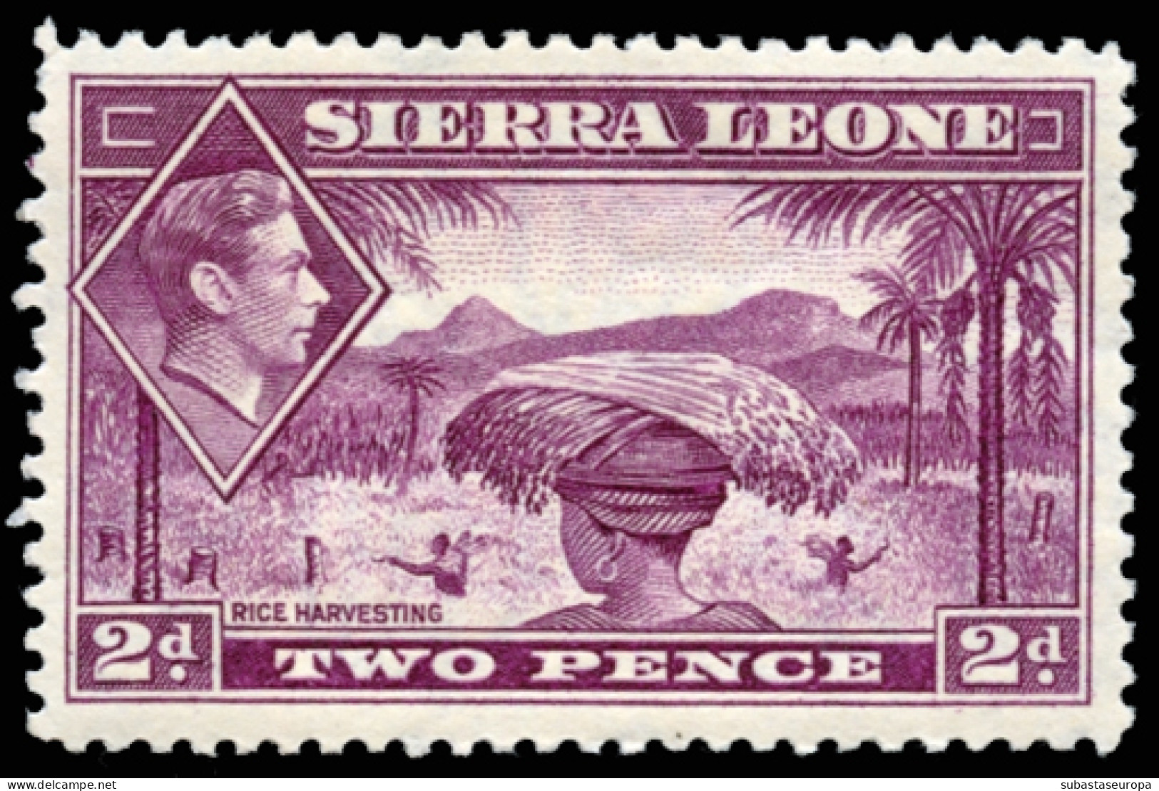 SIERRRA LEONA. * 158/71. Bonita. Cat. 120 €. - Sierra Leone (...-1960)