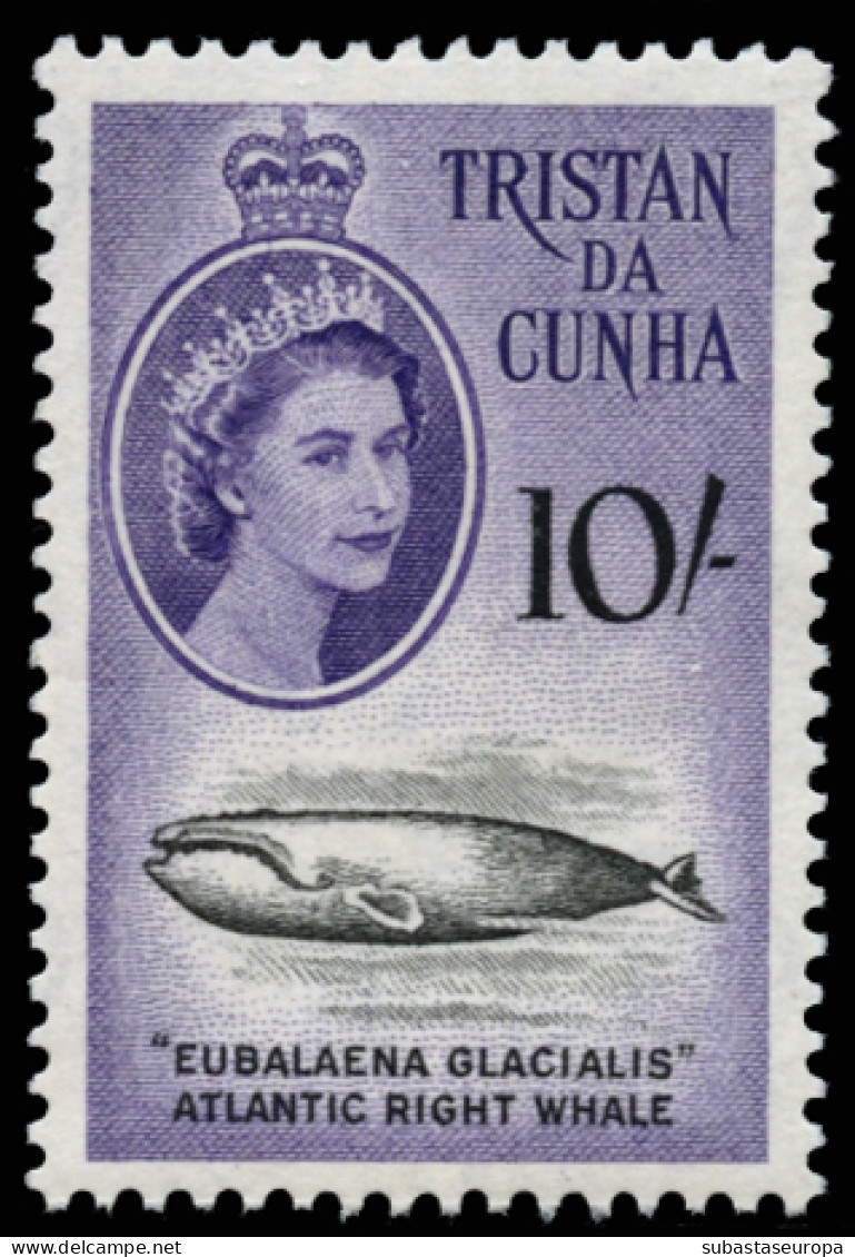 TRISTAN DA CUNHA. ** 28/41. Preciosa. Cat. 140 €. - Tristan Da Cunha