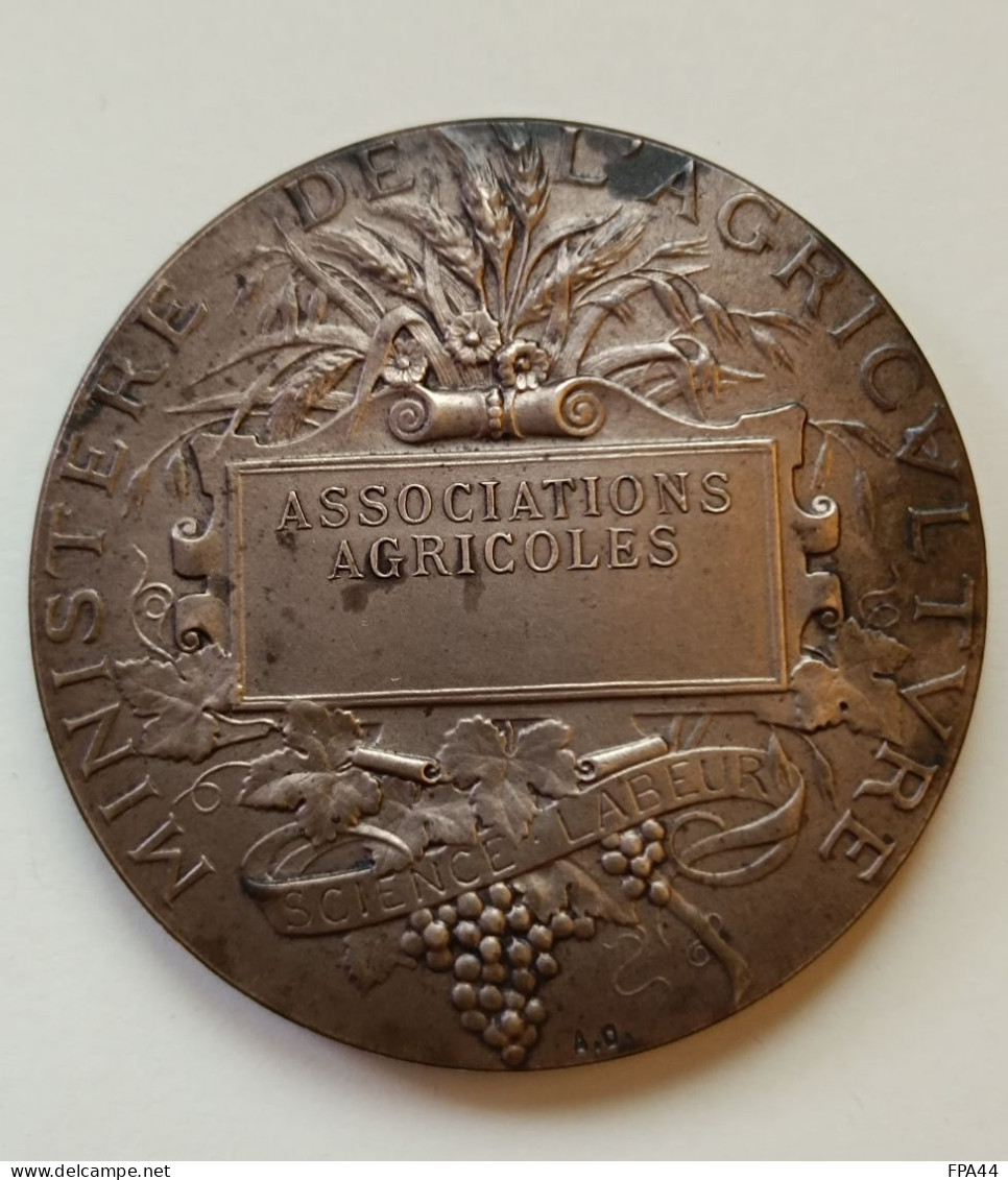 MEDAILLE MINISTERE DE L'AGRICULTURE ASSOCIATIONS AGRICOLES - Andere & Zonder Classificatie