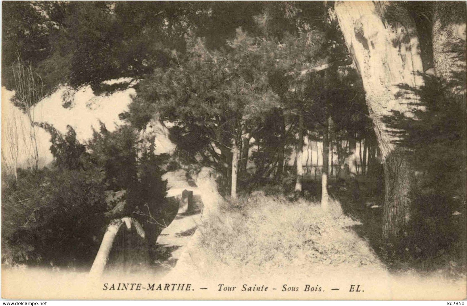 Sainte Marthe - Autres & Non Classés
