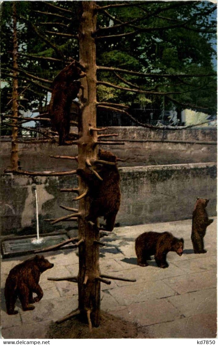 Bär - Bern - Bears