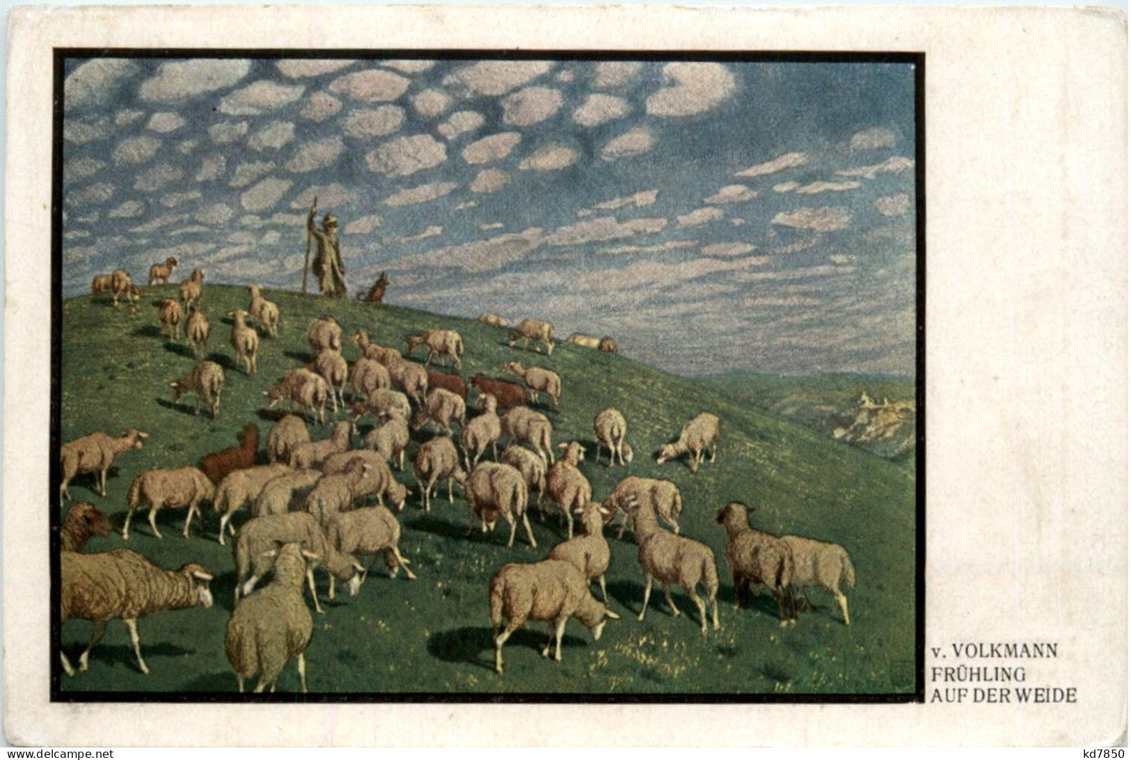 Volkmann - Frühling Auf Der Weide Schafe - Andere & Zonder Classificatie