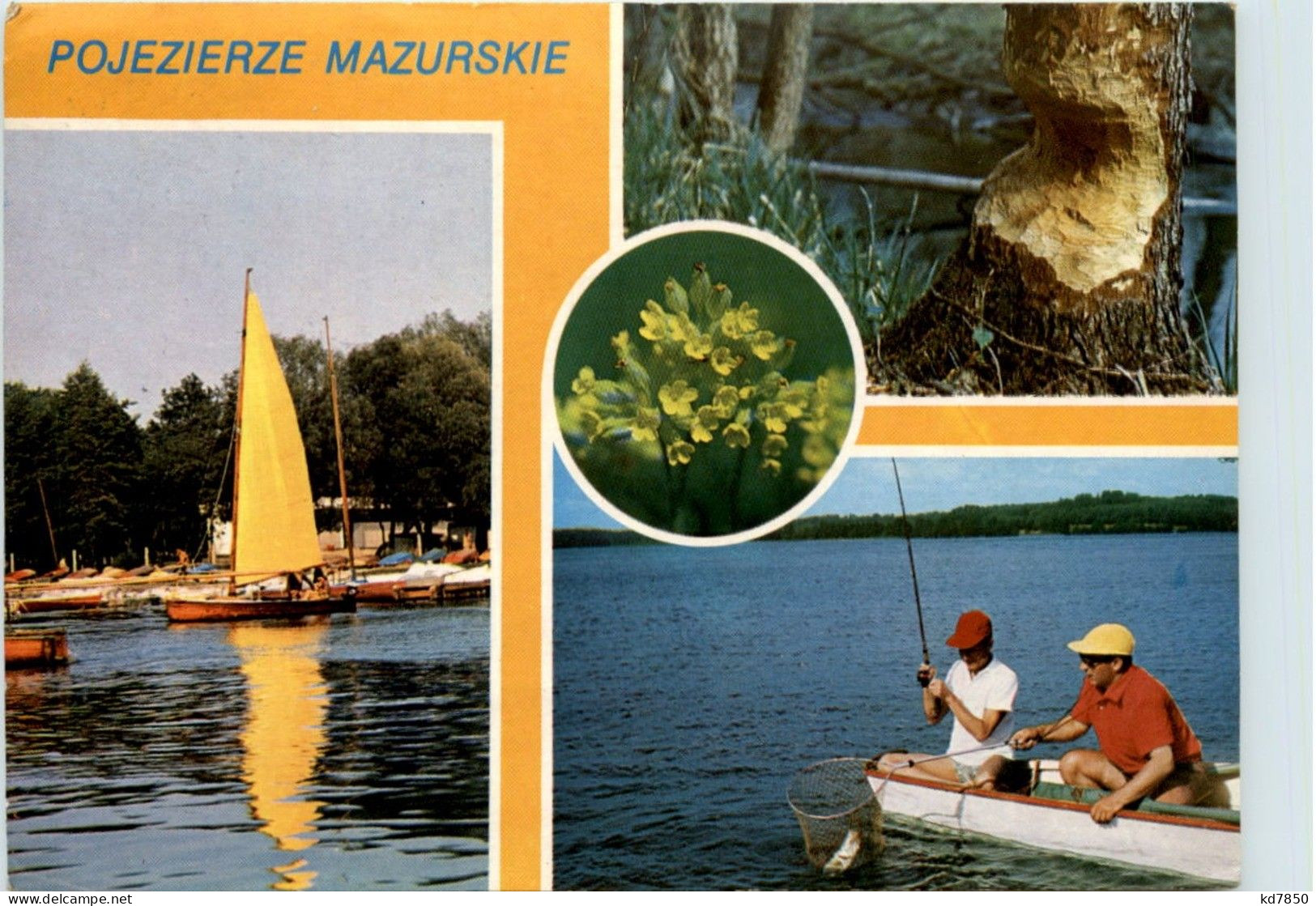 Pojezierze Mazurskie - Fishing - Polen