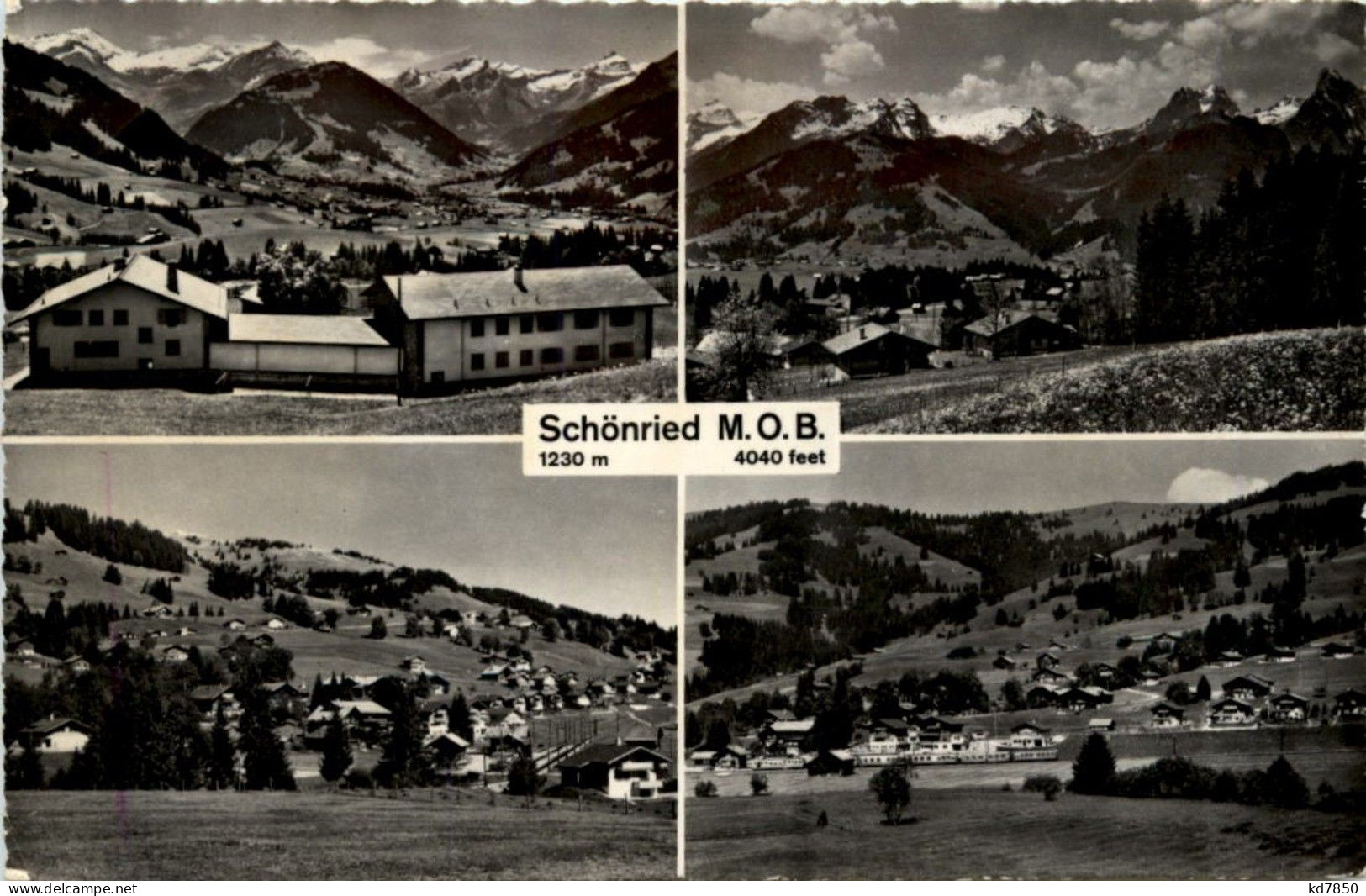 Schönried - Other & Unclassified