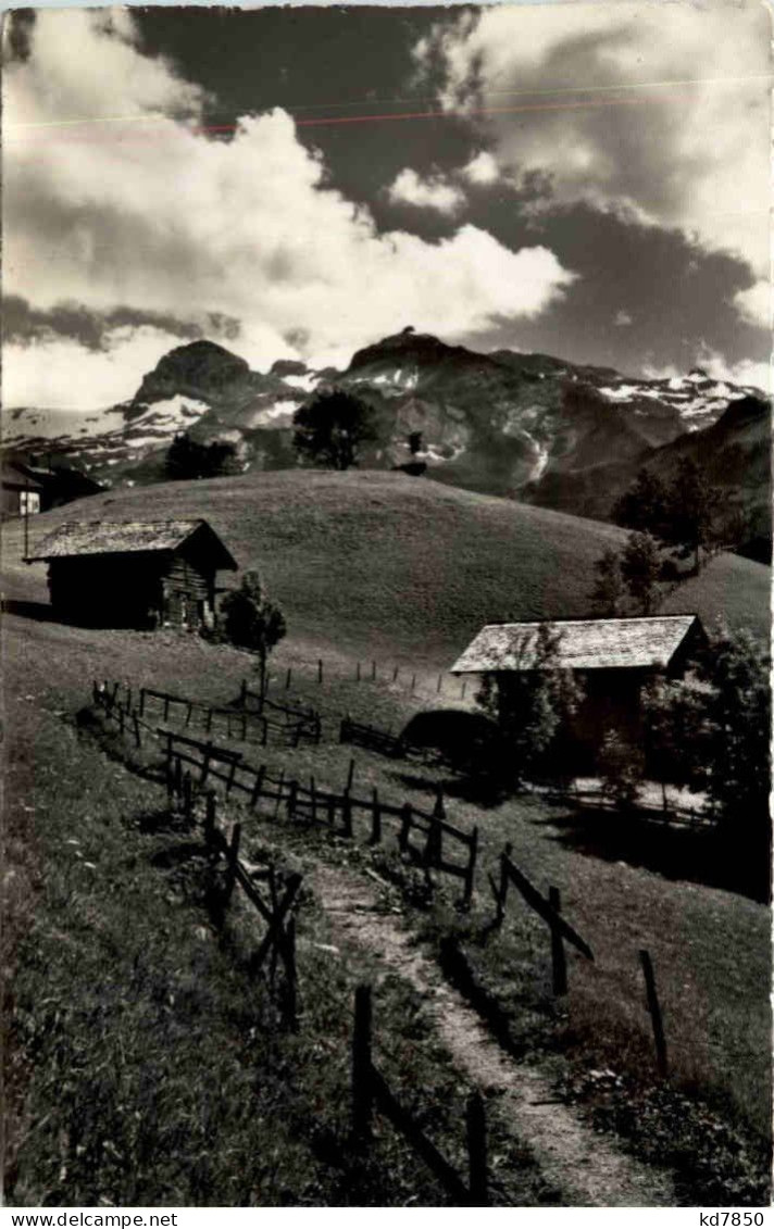 Bei Lenk - Lenk Im Simmental